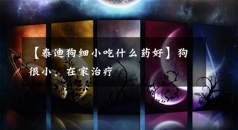 【泰迪狗细小吃什么药好】狗很小，在家治疗