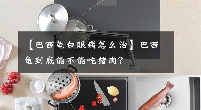 【巴西龟白眼病怎么治】巴西龟到底能不能吃猪肉？