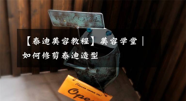 【泰迪美容教程】美容学堂｜如何修剪泰迪造型