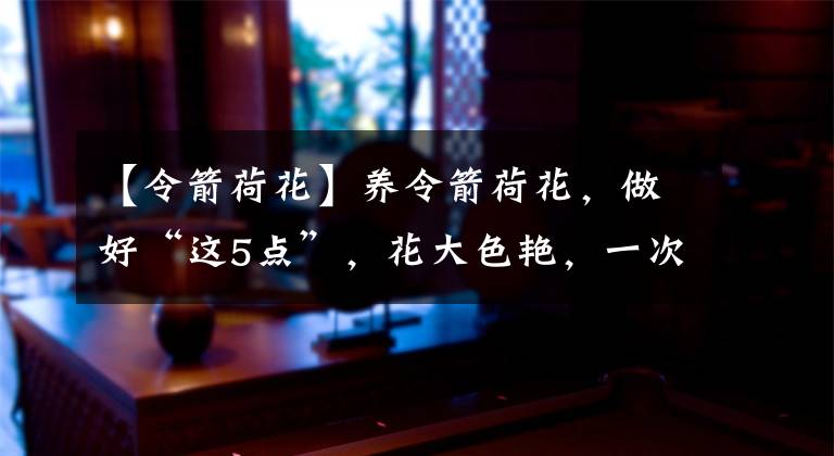 【令箭荷花】养令箭荷花,做好“这5点”,花大色艳,一次开花20朵