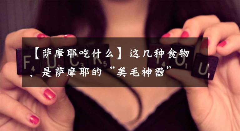 【萨摩耶吃什么】这几种食物,是萨摩耶的“美毛神器”