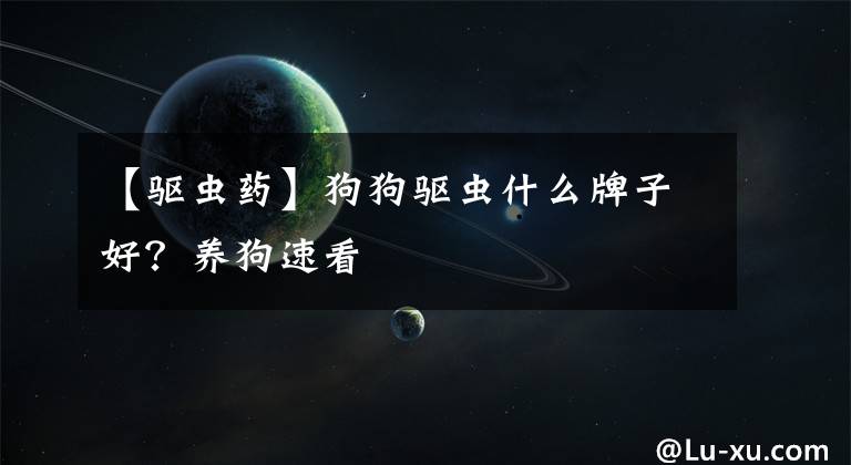 【驱虫药】狗狗驱虫什么牌子好?养狗速看