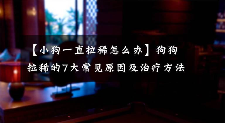 【小狗一直拉稀怎么办】狗狗拉稀的7大常见原因及治疗方法