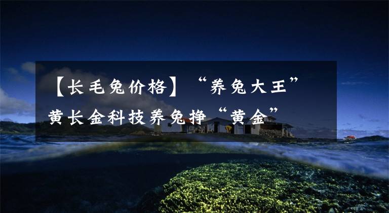 【长毛兔价格】“养兔大王”黄长金科技养兔挣“黄金”