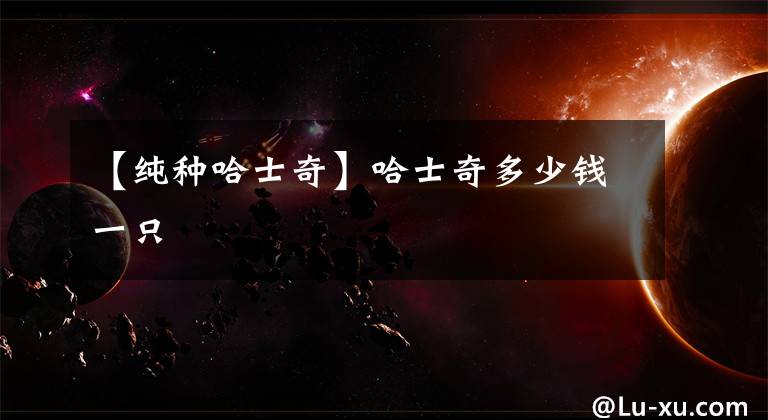 【纯种哈士奇】哈士奇多少钱一只