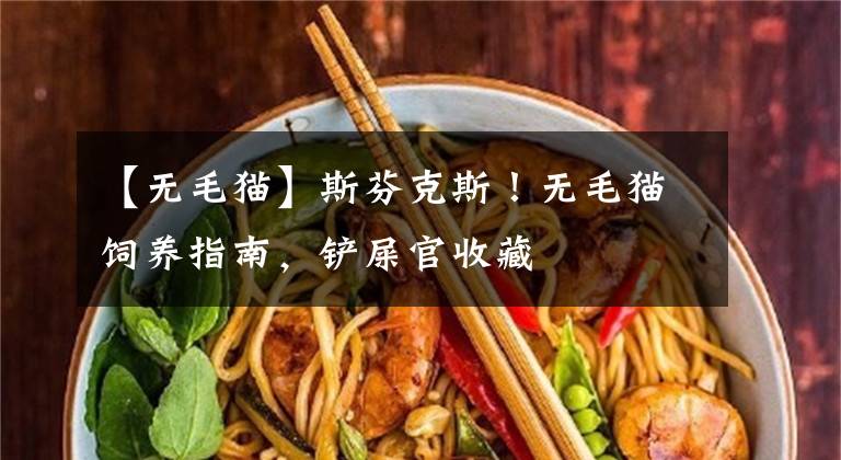 【无毛猫】斯芬克斯!无毛猫饲养指南,铲屎官收藏