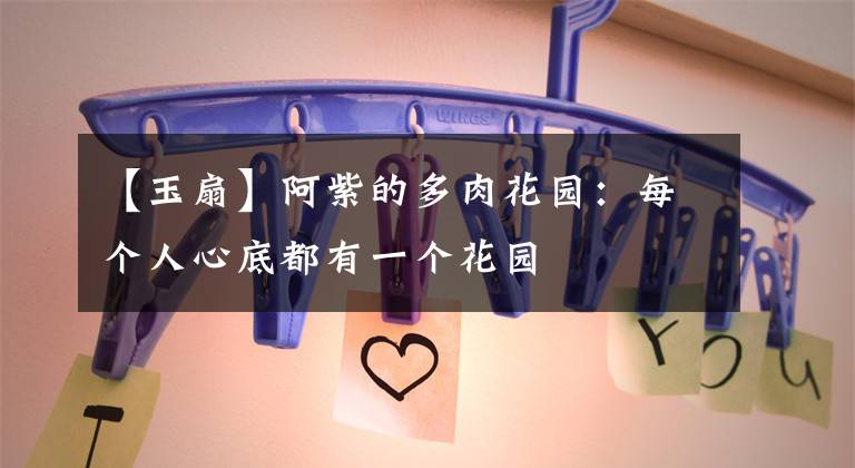 【玉扇】阿紫的多肉花园：每个人心底都有一个花园