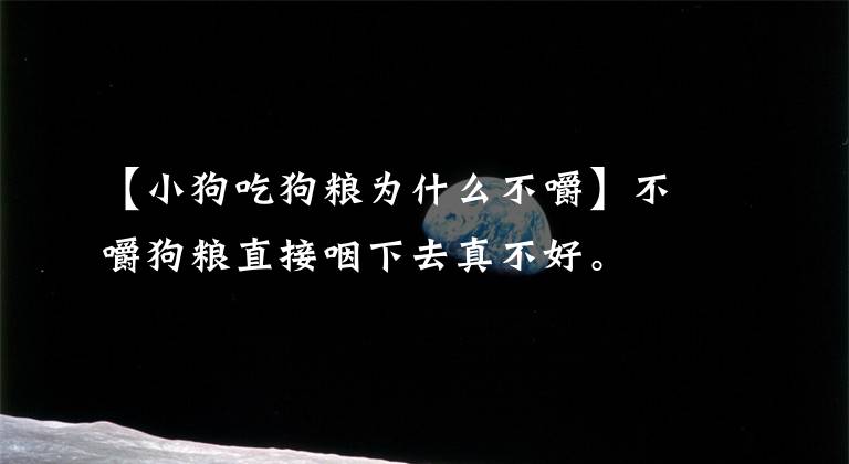 【小狗吃狗粮为什么不嚼】不嚼狗粮直接咽下去真不好。