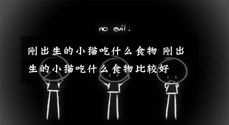 刚出生的小猫吃什么食物 刚出生的小猫吃什么食物比较好