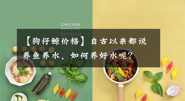 【狗仔鲸价格】自古以来都说养鱼养水，如何养好水呢？