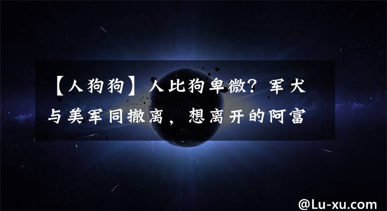 【人狗狗】人比狗卑微？军犬与美军同撤离，想离开的阿富汗人却苦苦挣扎，网友怒了