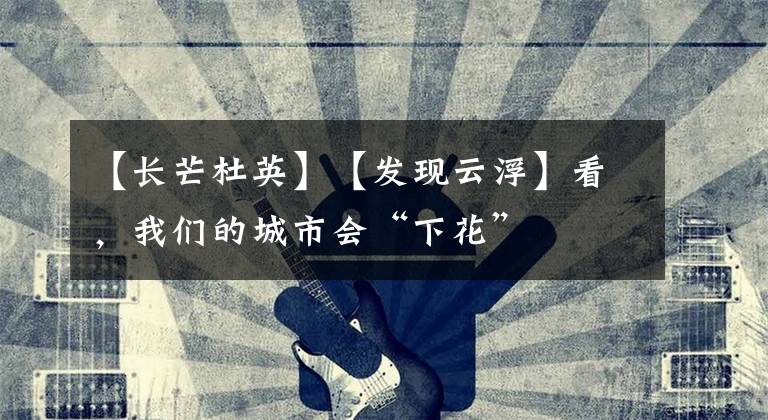 【长芒杜英】【发现云浮】看,我们的城市会“下花”