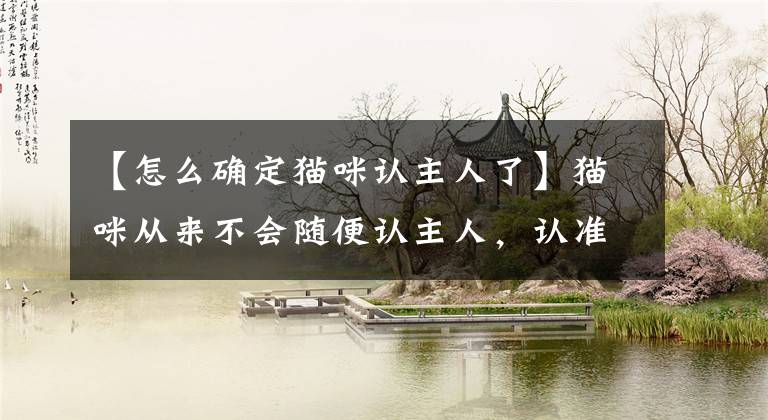 【怎么确定猫咪认主人了】猫咪从来不会随便认主人，认准这三点，才被猫咪彻底认主