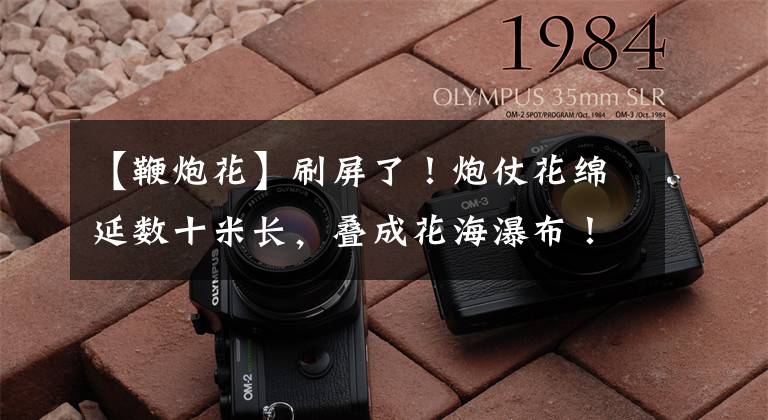 【鞭炮花】刷屏了！炮仗花绵延数十米长，叠成花海瀑布！蔚为壮观，快来看~