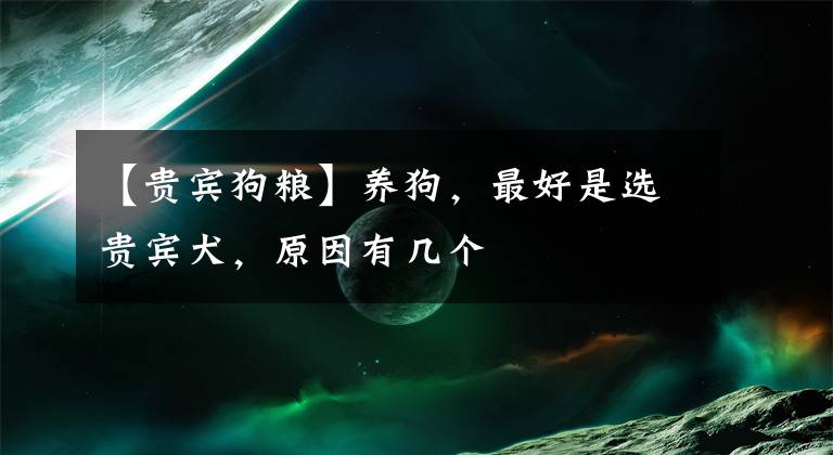 【贵宾狗粮】养狗，最好是选贵宾犬，原因有几个