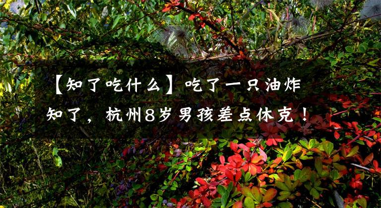 【知了吃什么】吃了一只油炸知了,杭州8岁男孩差点休克!吃货们注意了,四类人不宜食用