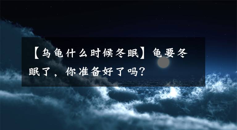【乌龟什么时候冬眠】龟要冬眠了,你准备好了吗?