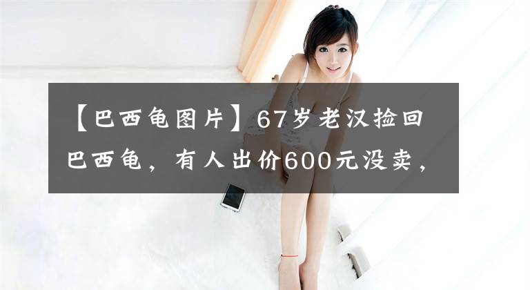 【巴西龟图片】67岁老汉捡回巴西龟，有人出价600元没卖，3年后老汉说：幸亏没卖