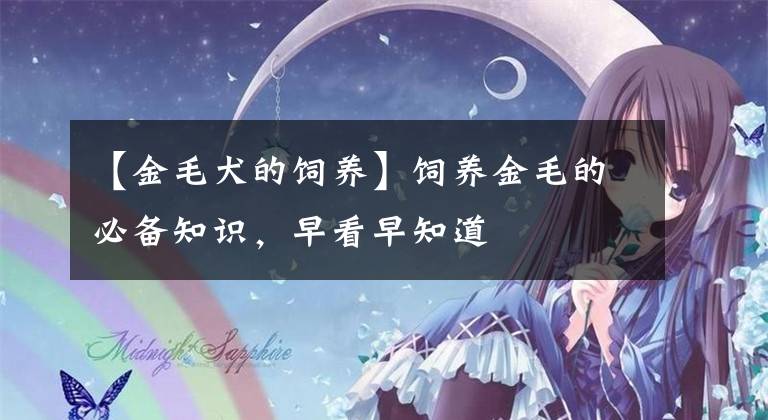 【金毛犬的饲养】饲养金毛的必备知识，早看早知道