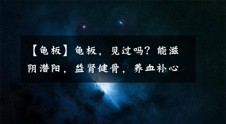 【龟板】龟板，见过吗？能滋阴潜阳，益肾健骨，养血补心