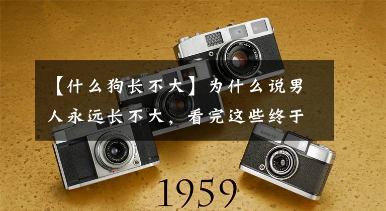 【什么狗长不大】为什么说男人永远长不大,看完这些终于明白了!