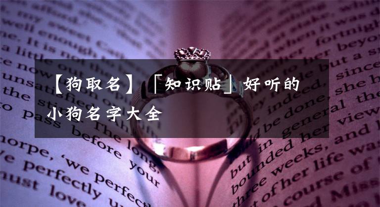 【狗取名】「知识贴」好听的小狗名字大全