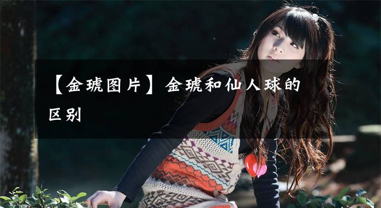 【金琥图片】金琥和仙人球的区别