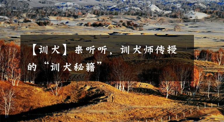 【训犬】来听听，训犬师传授的“训犬秘籍”