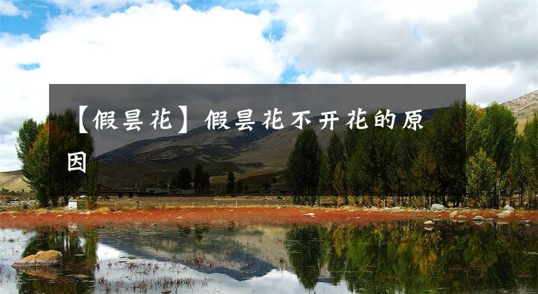 【假昙花】假昙花不开花的原因