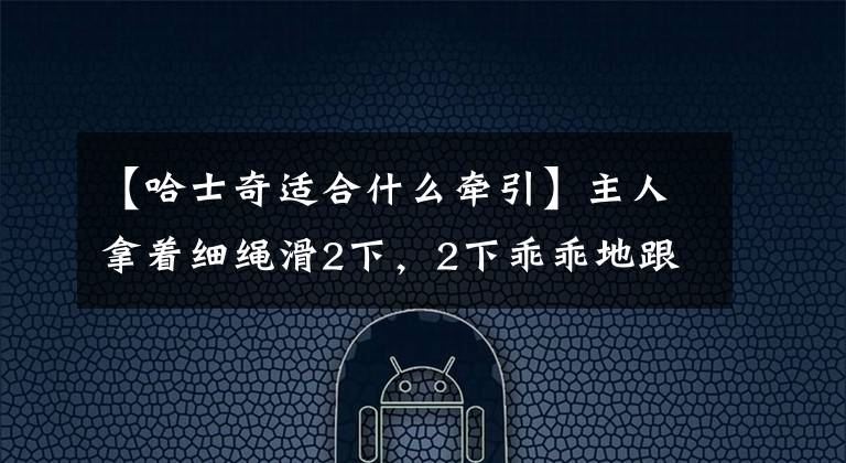 【哈士奇适合什么牵引】主人拿着细绳滑2下,2下乖乖地跟在主人身边,2下:不要学我主人