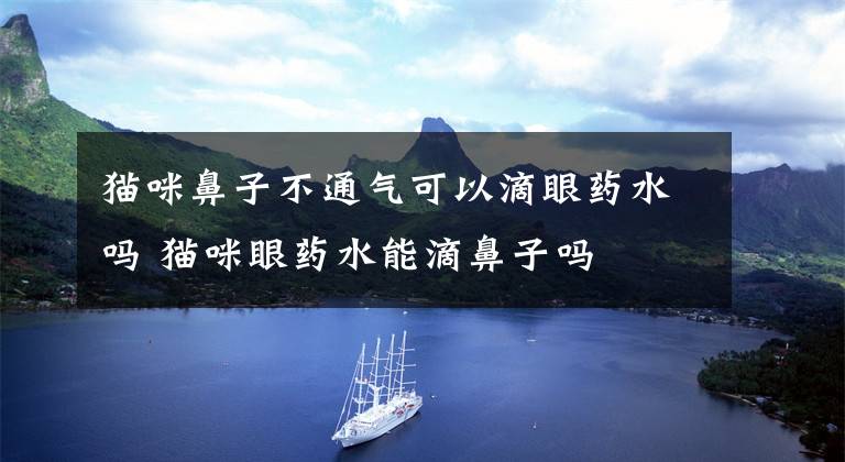 猫咪鼻子不通气可以滴眼药水吗 猫咪眼药水能滴鼻子吗
