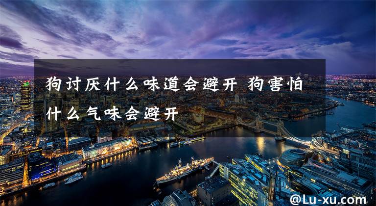 狗讨厌什么味道会避开 狗害怕什么气味会避开