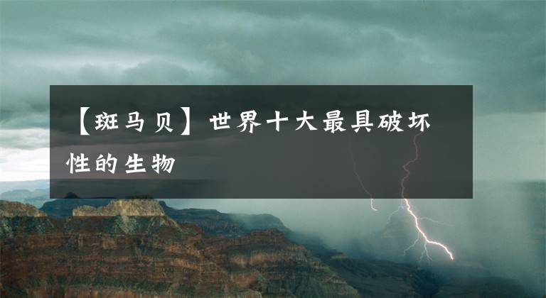 【斑马贝】世界十大最具破坏性的生物