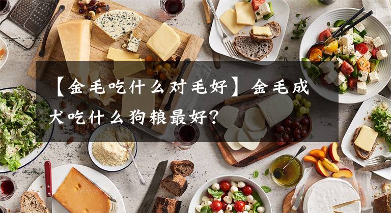 【金毛吃什么对毛好】金毛成犬吃什么狗粮最好？