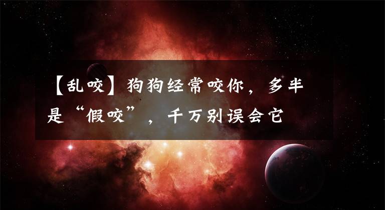 【乱咬】狗狗经常咬你，多半是“假咬”，千万别误会它