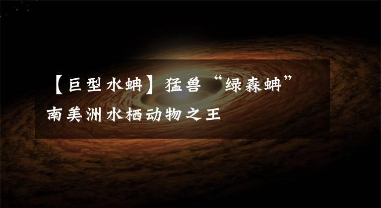 【巨型水蚺】猛兽“绿森蚺”南美洲水栖动物之王