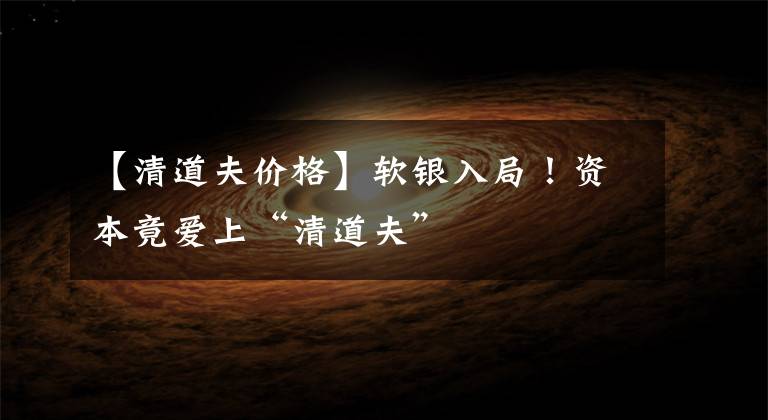 【清道夫价格】软银入局！资本竟爱上“清道夫”