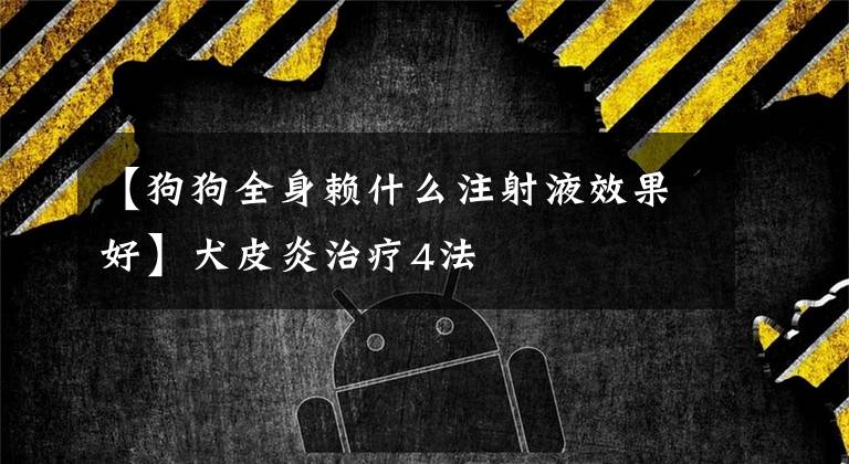 【狗狗全身赖什么注射液效果好】犬皮炎治疗4法