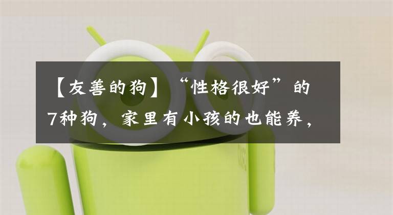 【友善的狗】“性格很好”的7种狗，家里有小孩的也能养，不妨考虑一下