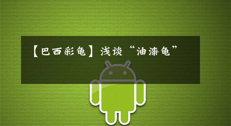 【巴西彩龟】浅谈“油漆龟”