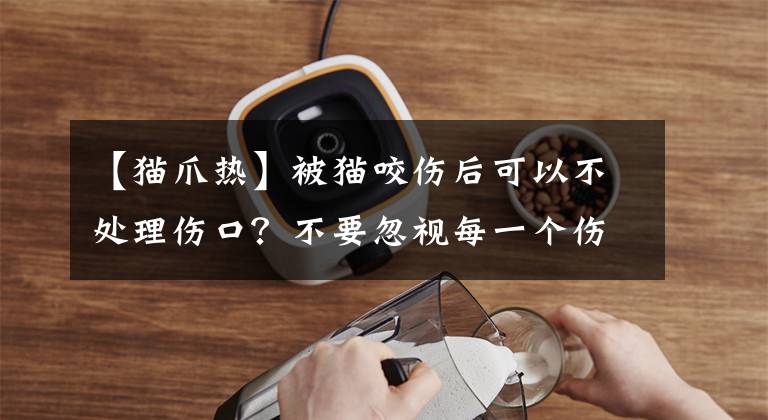 【猫爪热】被猫咬伤后可以不处理伤口？不要忽视每一个伤口，也不要心存侥幸