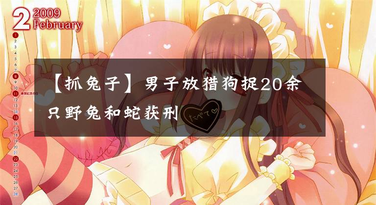 【抓兔子】男子放猎狗捉20余只野兔和蛇获刑