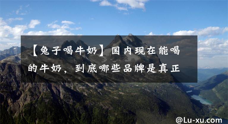 【兔子喝牛奶】国内现在能喝的牛奶，到底哪些品牌是真正的好牛奶？