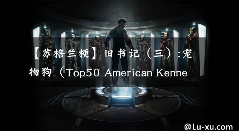 【苏格兰梗】旧书记(三):宠物狗(Top50 American Kennel Club Registrations)