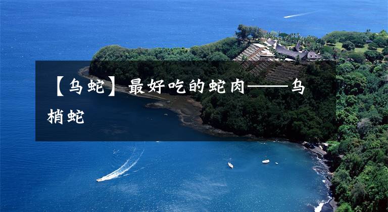 【乌蛇】最好吃的蛇肉——乌梢蛇