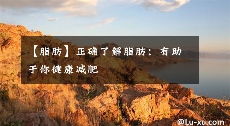 【脂肪】正确了解脂肪：有助于你健康减肥