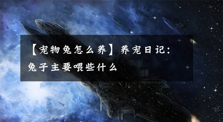 【宠物兔怎么养】养宠日记：兔子主要喂些什么