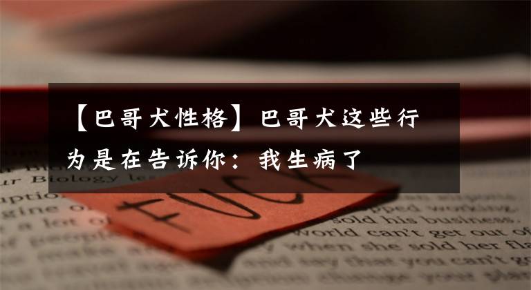 【巴哥犬性格】巴哥犬这些行为是在告诉你:我生病了