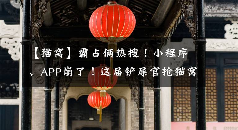 【猫窝】霸占俩热搜!小程序、APP崩了!这届铲屎官抢猫窝有点猛