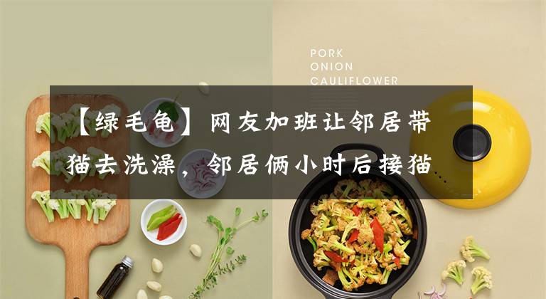 【绿毛龟】网友加班让邻居带猫去洗澡，邻居俩小时后接猫：这猫咋成绿毛龟？